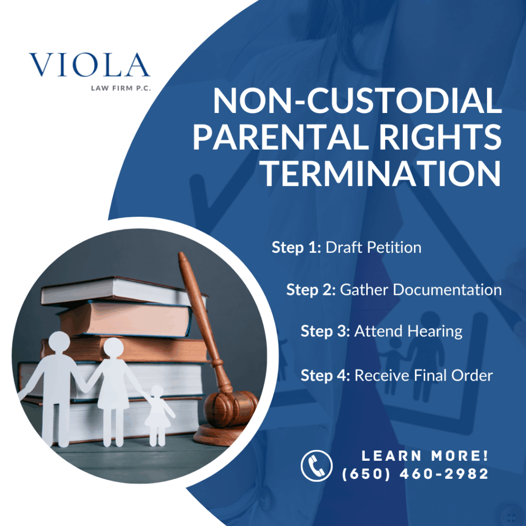 terminate parental rights of non custodial par