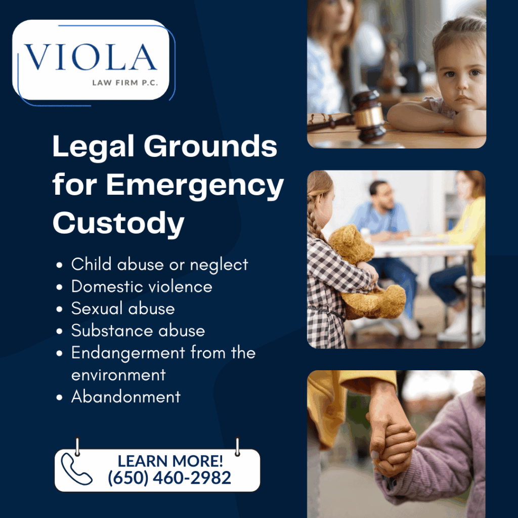 emergency custody