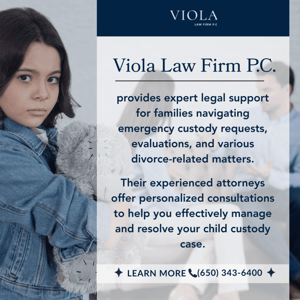 child custody evaluation