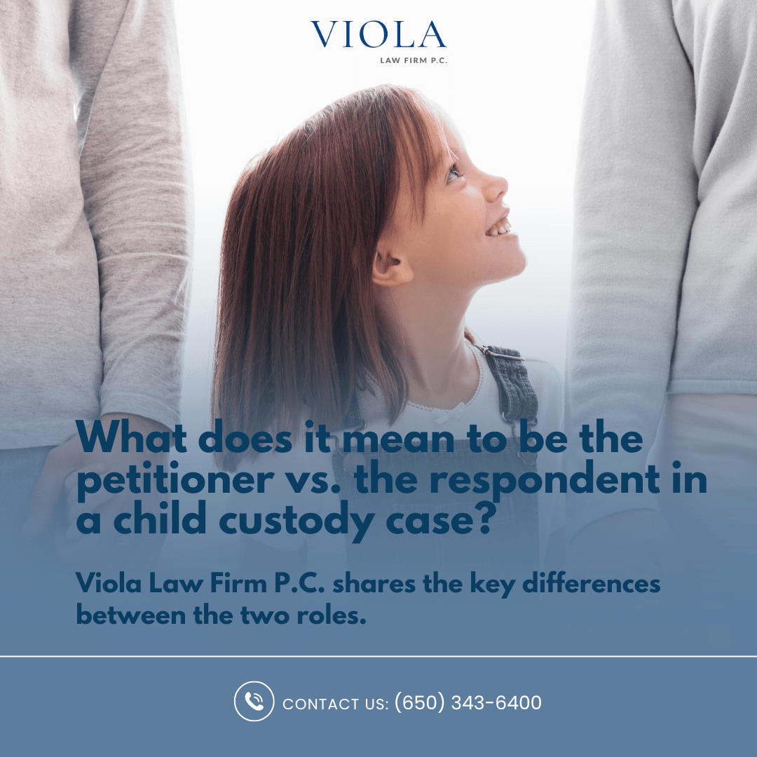 petitioner vs respondent in child custody
